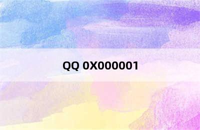 QQ 0X000001